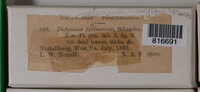 Image Associated With the Occurence